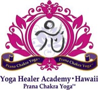 Yoga Healer Academy Retreat, Aki Tanida-Solano